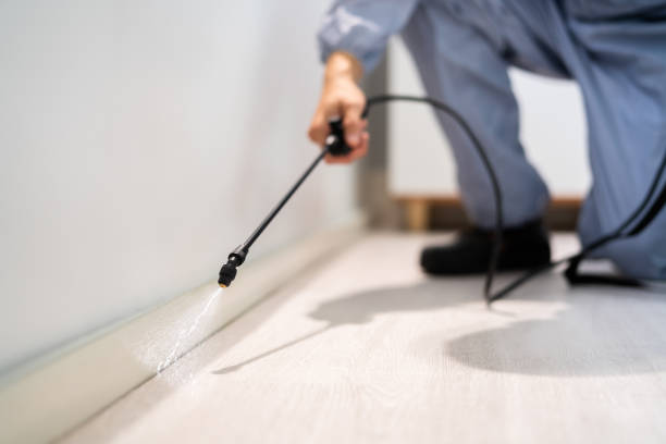 Licensed Ant Control service in Bushnell, FL - Show Me Pest Control