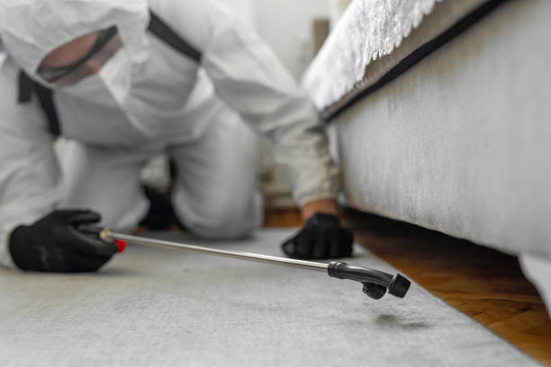 Professional Ant Control technician working in Bushnell, FL