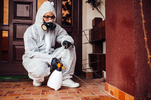 Reliable Ant Control contractor in Bushnell, FL by Show Me Pest Control